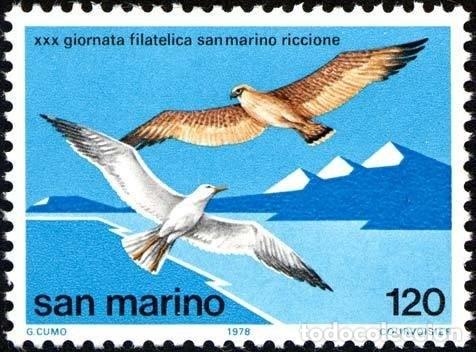 Timbres: San Marino 1978 Scott 929 Sello ** Fauna Aves Gaviota de pico delgado (Larus genei), cern&iacute;calo com&uacute;n