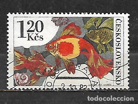 Sellos: 1975: CHECOSLOVAKIA Peces de acuario - Pez dorado (cto)