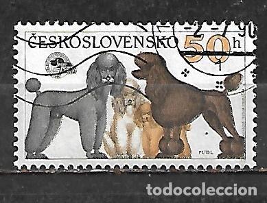 Sellos: 1990: CHECOSLOVAKIA Exposici&oacute;n canina internacional de Brno - Poodles (CTO)