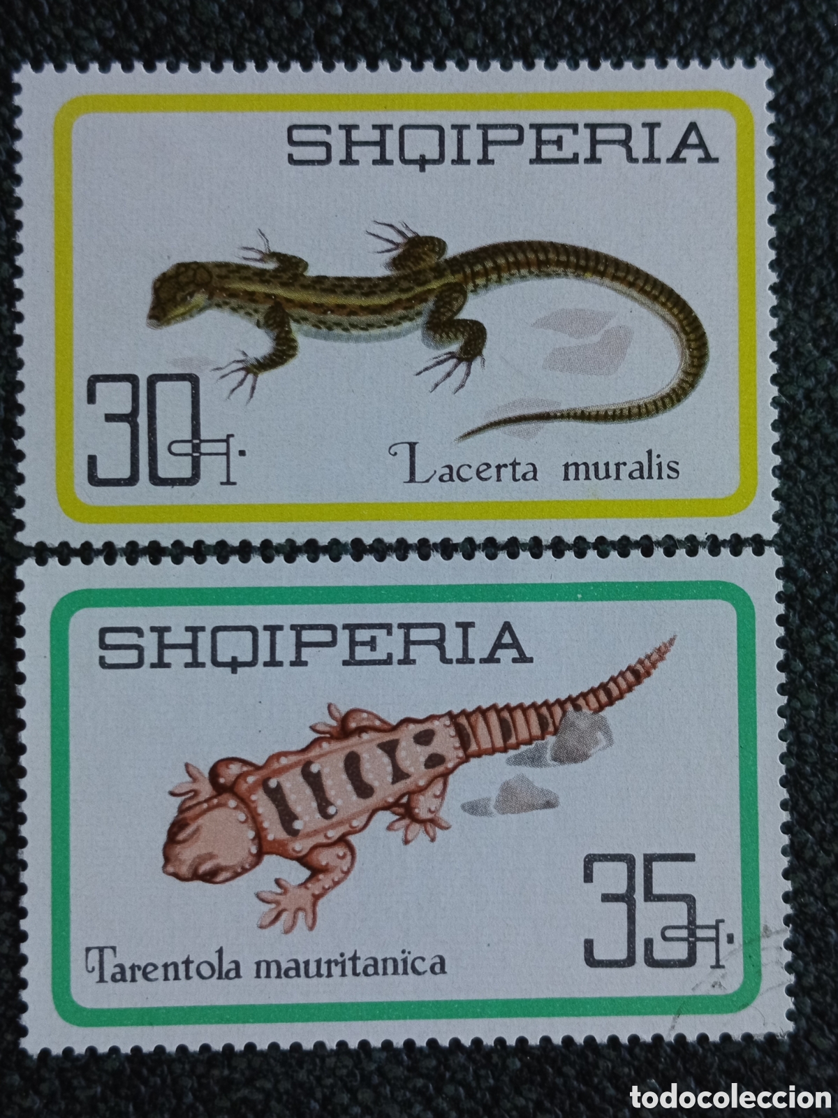 Stamps: Lote 2 Sellos Albania 1966 Reptiles MNH -CTO Michel n&ordm; 1086 y 1087