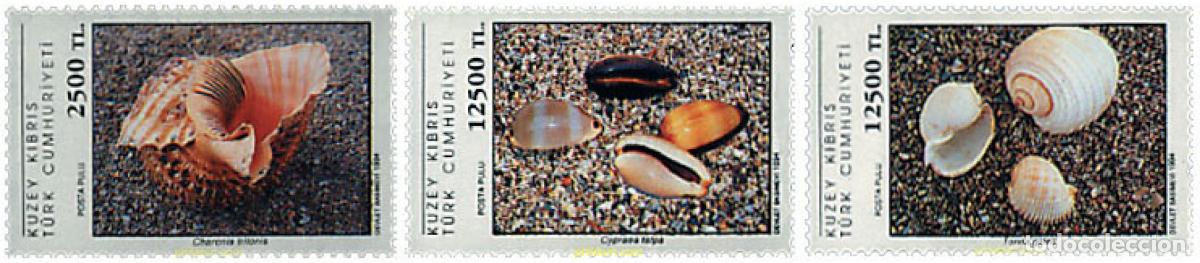 Sellos: 51460 MNH CHIPRE. Administraci&oacute;n turca 1994 CONCHAS