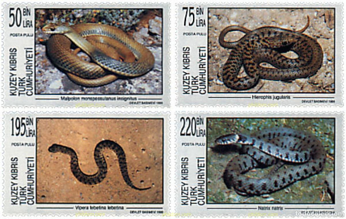 Sellos: 51471 MNH CHIPRE. Administraci&oacute;n turca 1999 SERPIENTES