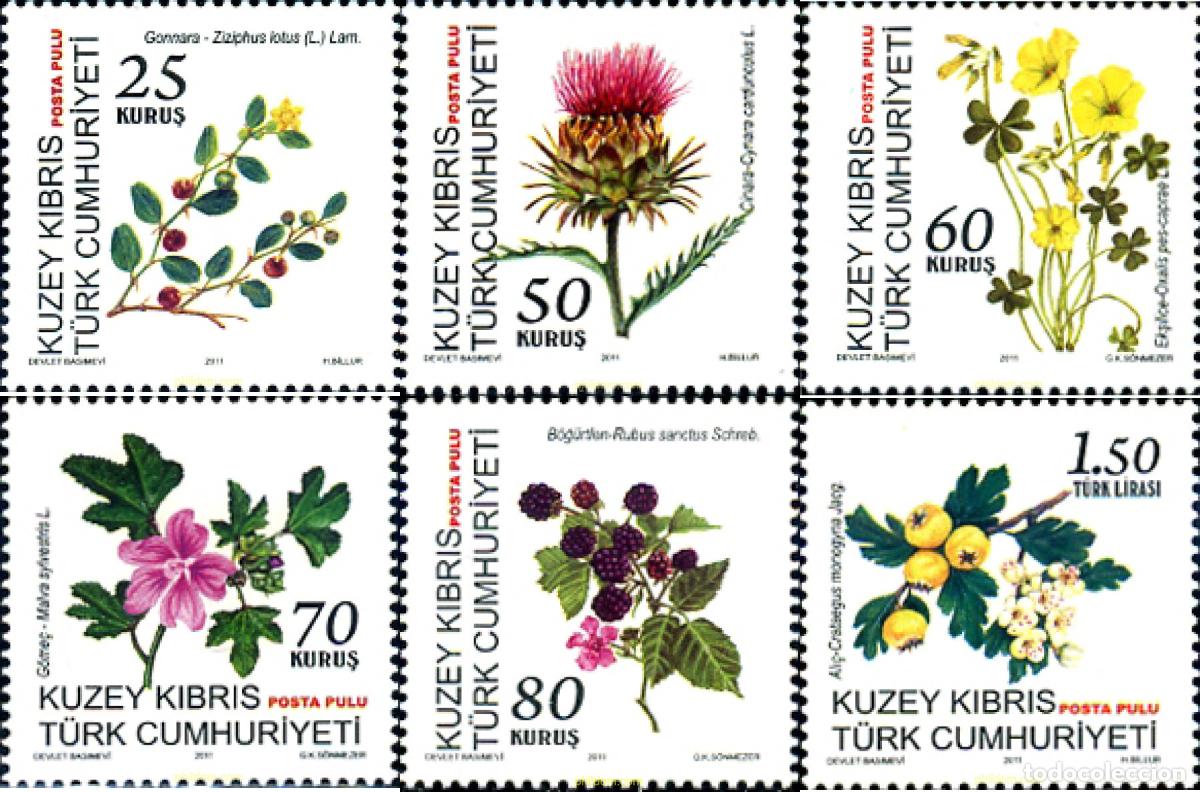 Sellos: 273818 MNH CHIPRE. Administraci&oacute;n turca 2011 FLORES