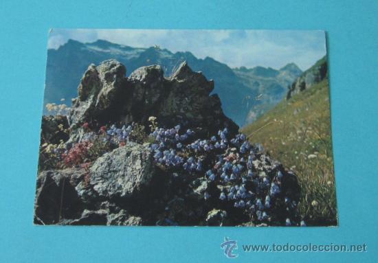 Sellos: POSTAL CIRCULADA CON MATASELLO SUIZO 1969 - Foto 2