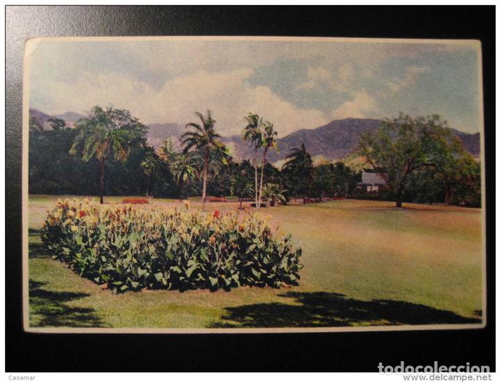 St Andrew Hope Gardens Garden Jamaica Antilles Buy
