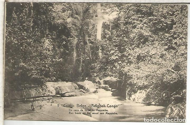 Briefmarken: CONGO BELGA ENTERO POSTAL BOSQUE DE MAYUMBE TREE ARBOL FOREST