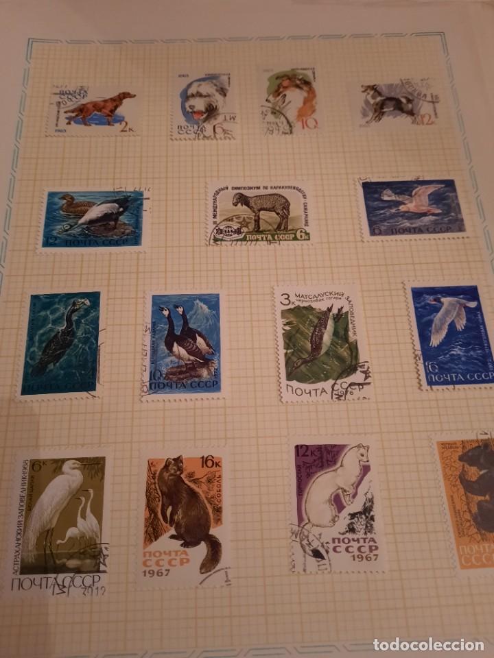 Sellos: Carpeta sellos rusos - Foto 5