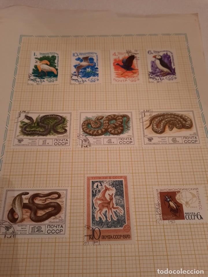 Sellos: Carpeta sellos rusos - Foto 8