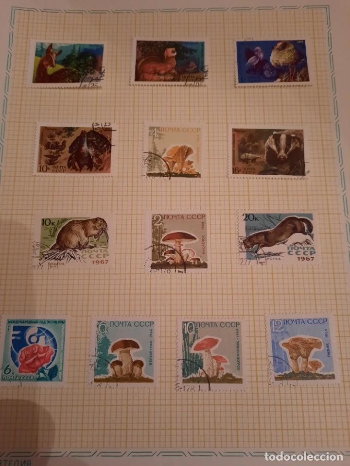 Sellos: Carpeta sellos rusos - Foto 9