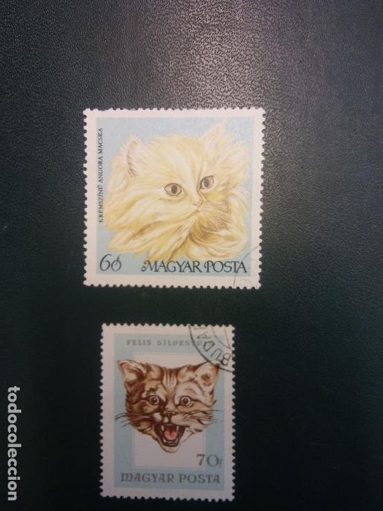 Sellos: SELLOS. MAGYAR POSTA. CATS - Foto 1