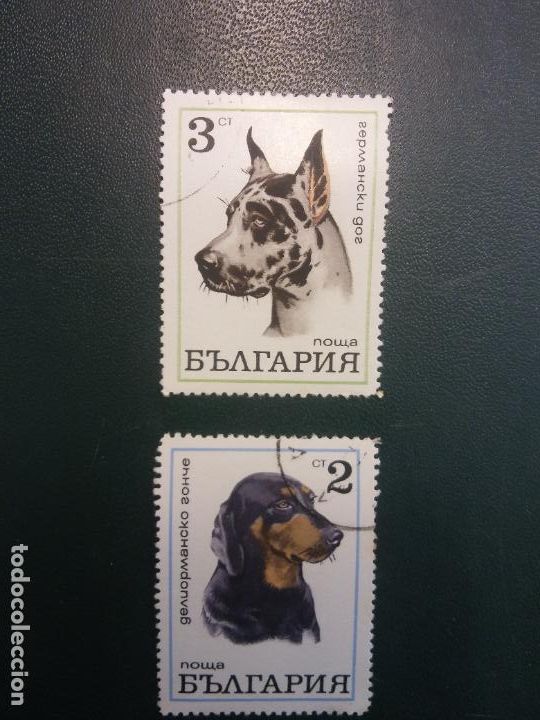 Sellos: SELLOS. PERROS NOWA - Foto 1