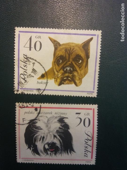 Sellos: SELLOS. POLSKA. PERROS - Foto 1