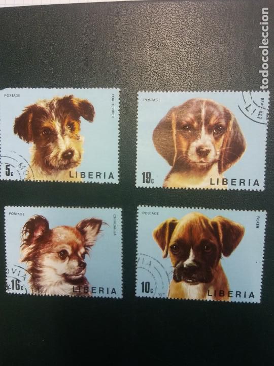 Sellos: SELLOS. LIBERIA. PERROS - Foto 1