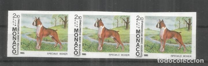 Sellos: MONACO SIN DENTAR IMPERFORATE PERRO DOG BOXER - Foto 1