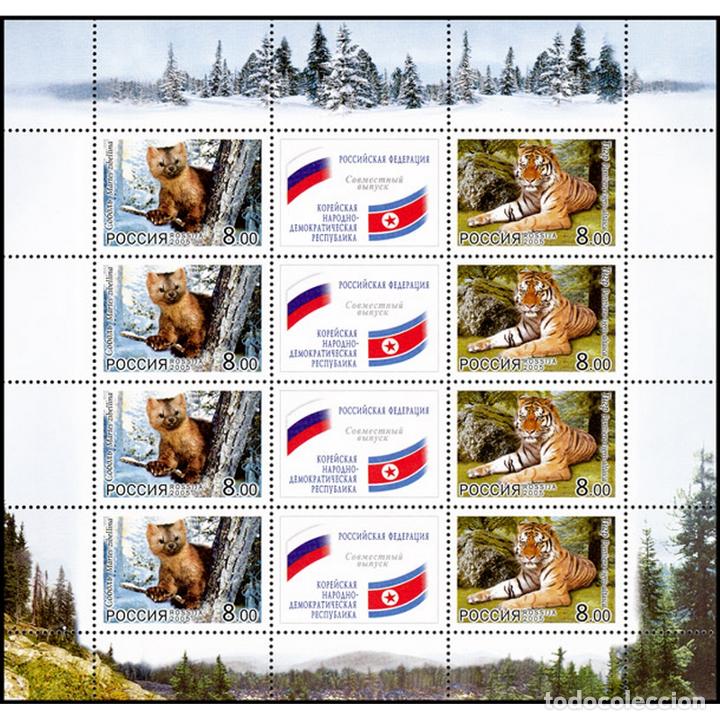 Sellos: ⚡ Discount Russia 2005 Fauna.Russia-DPRK Joint Issue MNH - Tigers, Joint issue - Foto 1 - 304350863