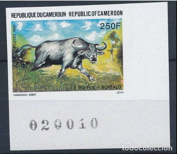 Sellos: CAMERUN SIN DENTAR IMPERFORATE BUFALO - Foto 1