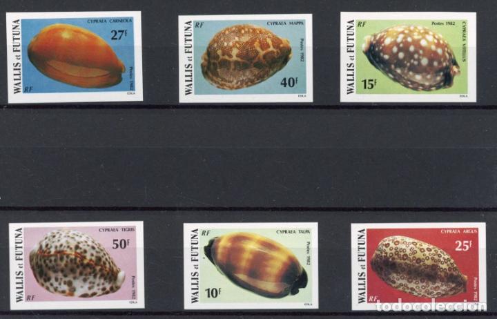 Sellos: WALLIS ET FUTUNA SIN DENTAR IMPERFORATE CONCHA SHELL - Foto 1