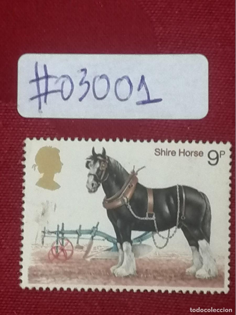 Timbres: SELLO 5 DE JULIO DE 1978. CENTENARIO DE LA SOCIEDAD H&Iacute;PICA. CABALLO SHIRE.