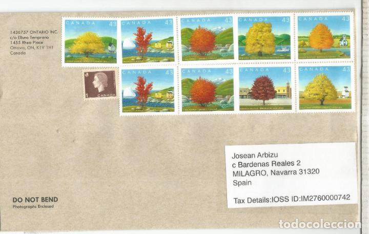 Sellos: CANADA CC SELLOS ARBOL TREE - Foto 1