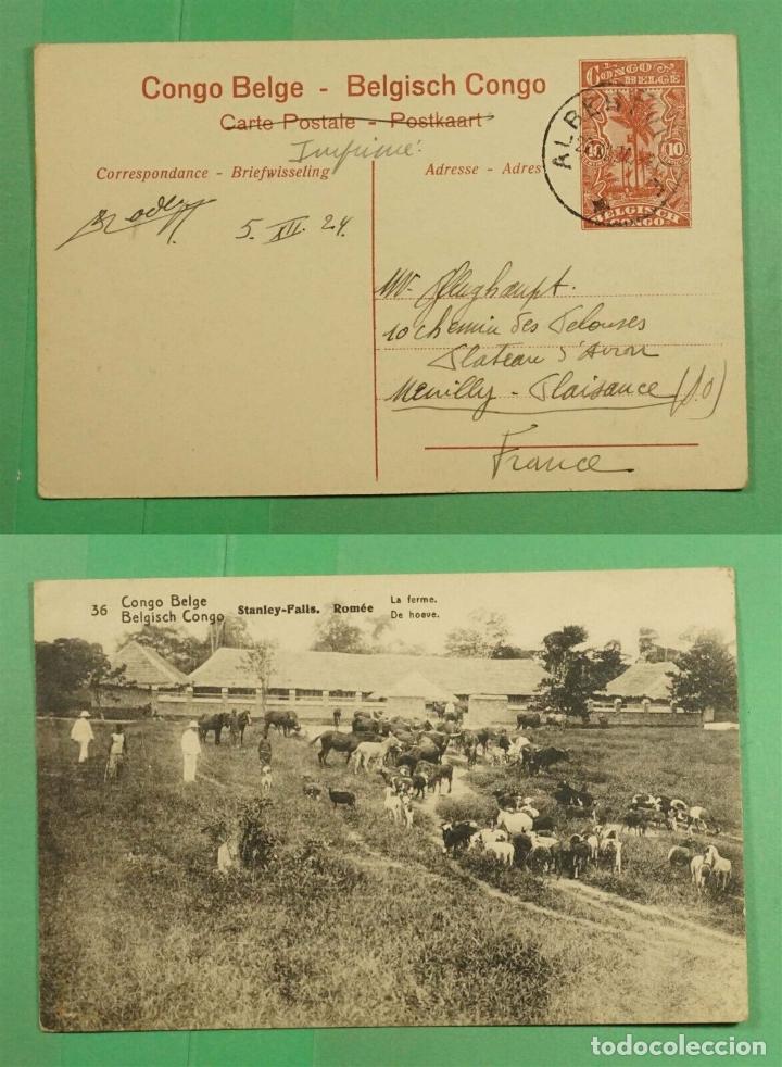 Timbres: CONGO BELGA ENTERO POSTAL STANLEY FALLS GRANJA ANIMAL VACA COW CABALLO