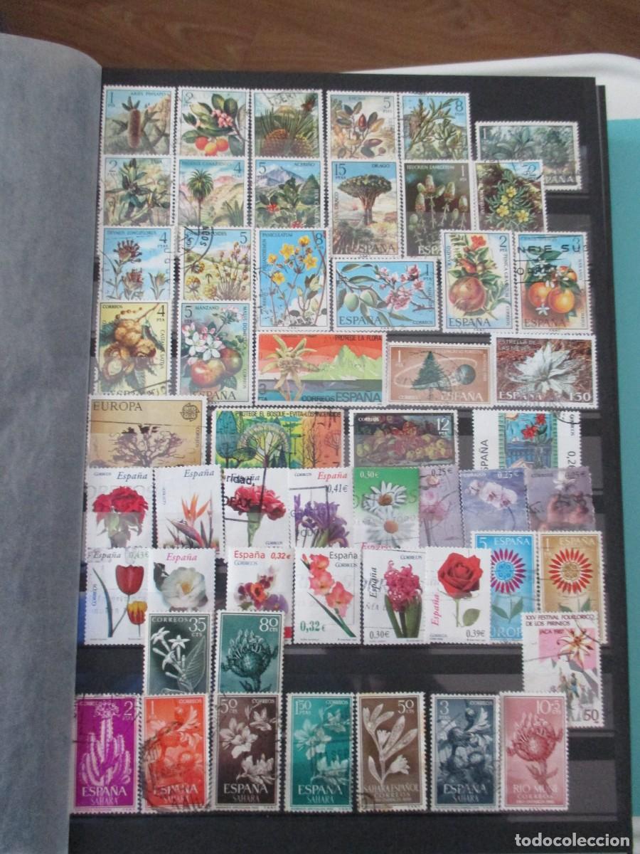 Sellos: SELLOS - Foto 10
