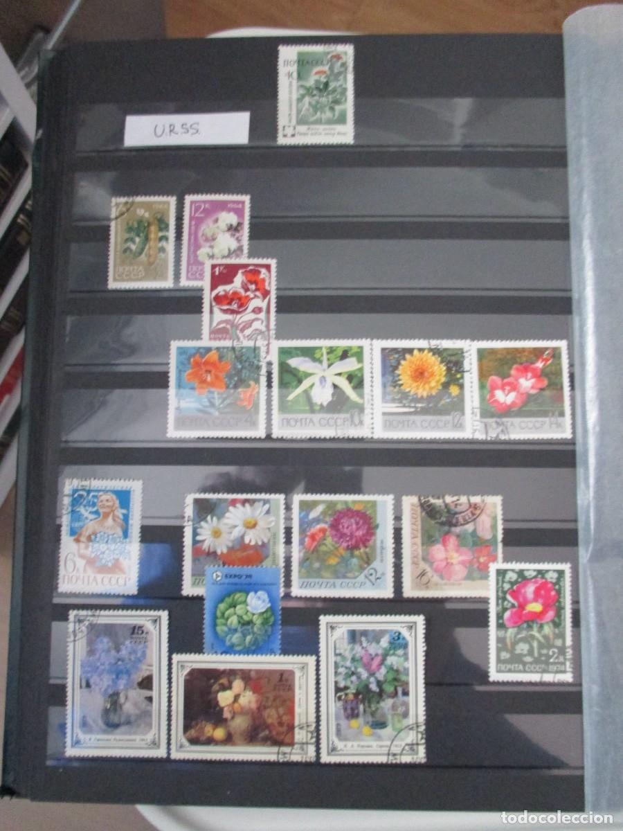 Sellos: SELLOS - Foto 17