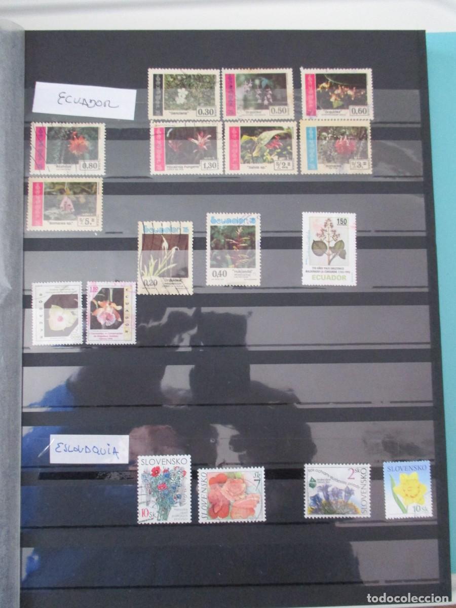 Sellos: SELLOS - Foto 20
