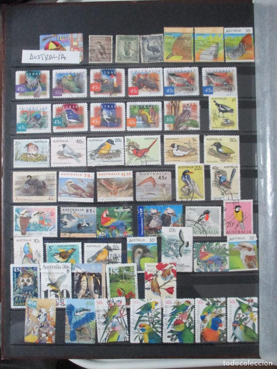 Sellos: SELLOS - Foto 14
