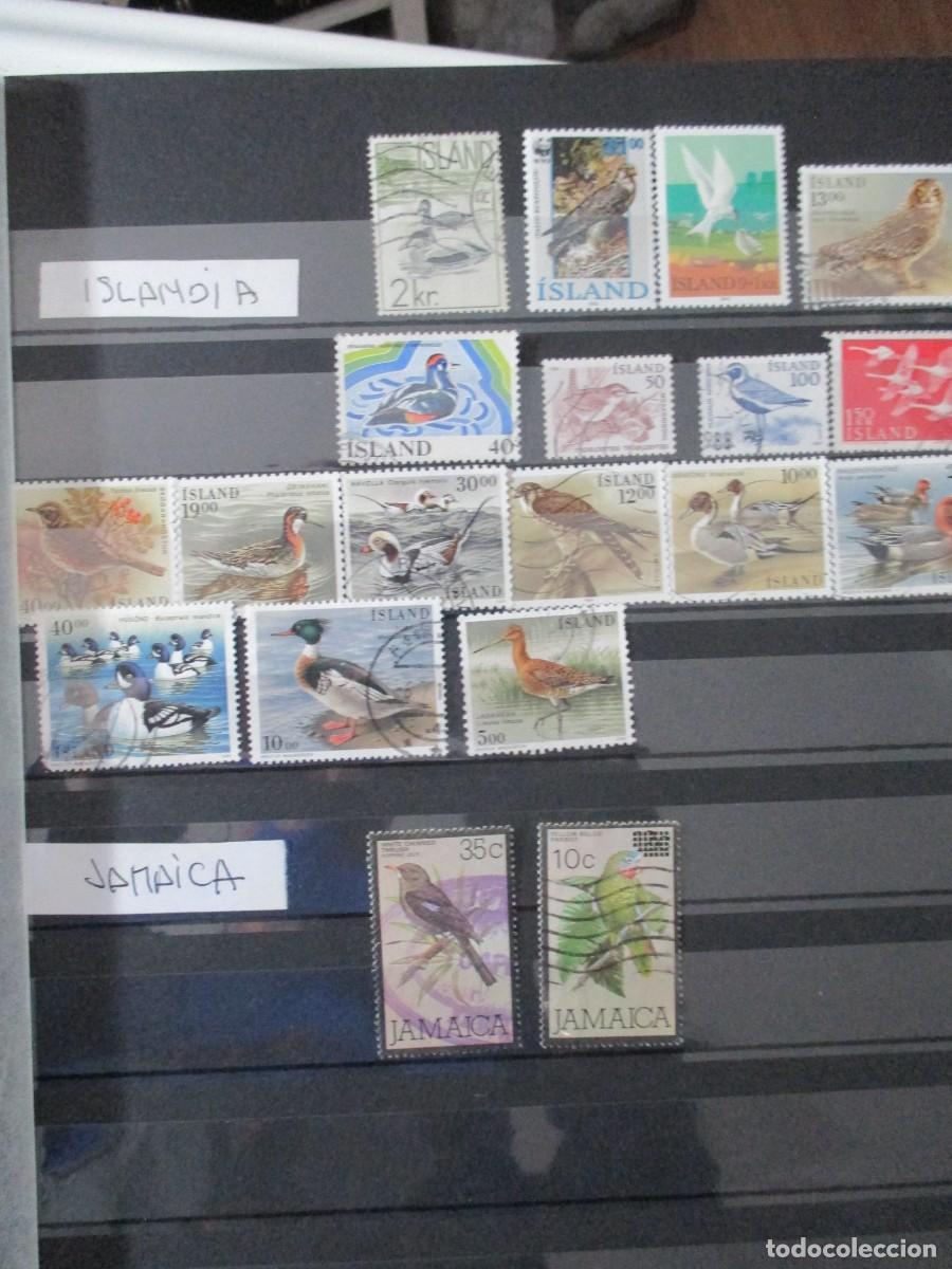 Sellos: SELLOS - Foto 16