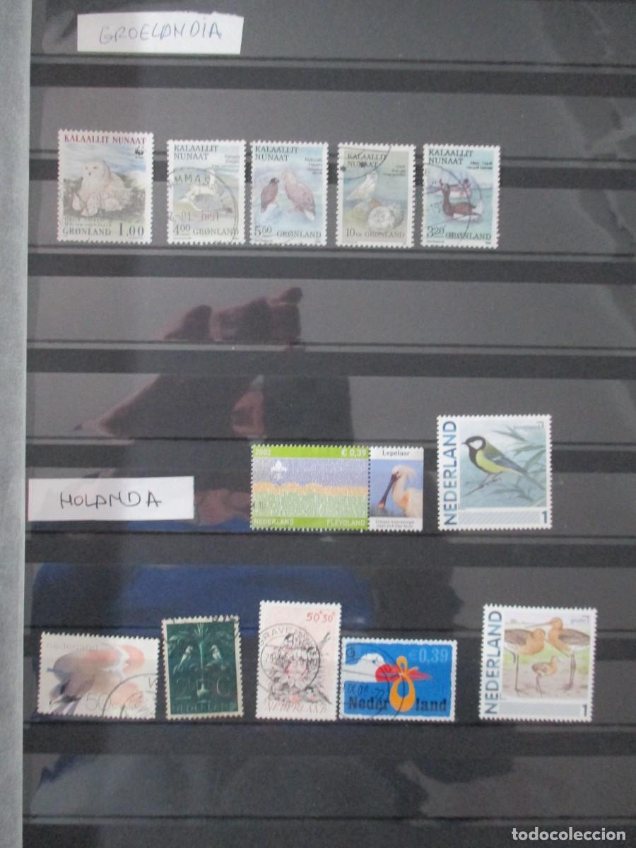 Sellos: SELLOS - Foto 20