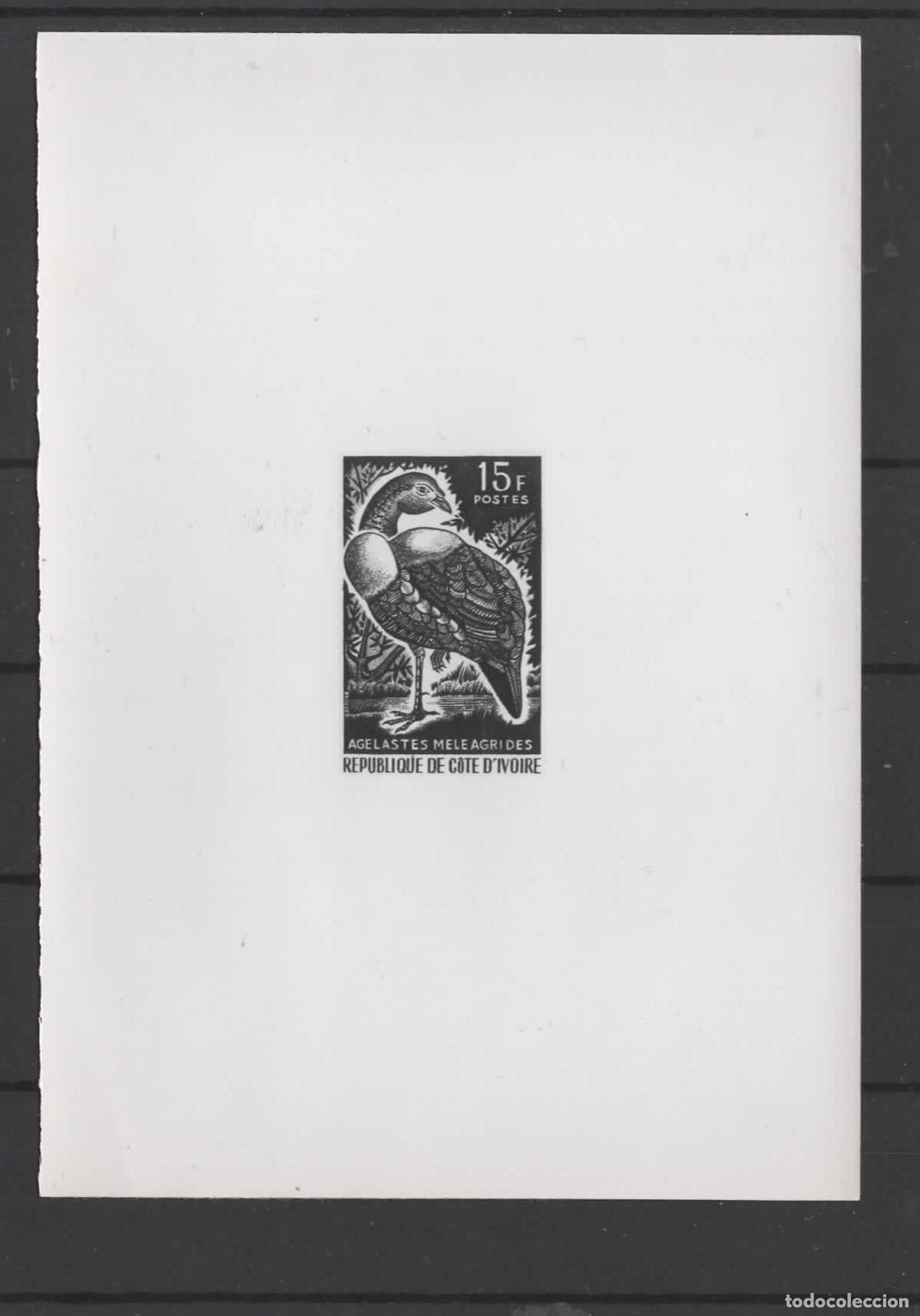 Sellos: COTE D&acute;IVOIRE PRUEBA FOTOGRAFICA PHOTOGRAPHIC PROOF BIRD PAJARO AGELASTES MELEAGRIDES