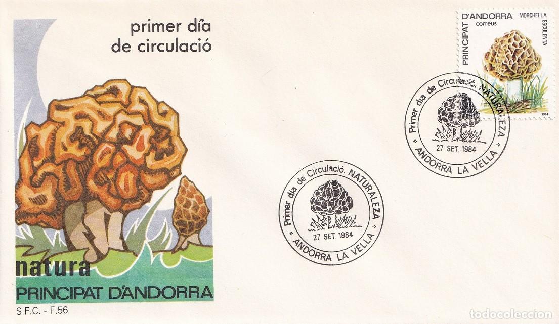 Sellos: FDC 1984 Andorra la Vella - Natura - Setas - Murga Morchella esculenta - Primer dia de circulaci&oacute;