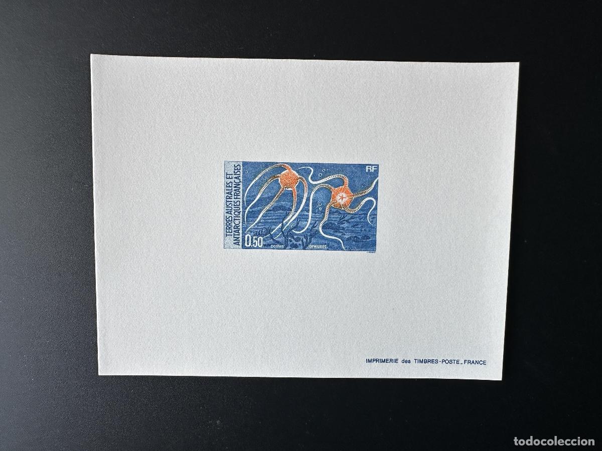 Briefmarken: TAAF 1987 YT 122 a prueba de lujo estrellas ant&aacute;rticas quebradizas vida marina equinodermo