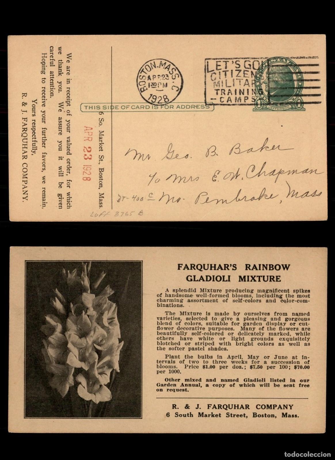 Sellos: ESTADOS UNIDOS USA ENTERO POSTAL 1928 FLOR FLOWER BOTANICA GLADIOLO
