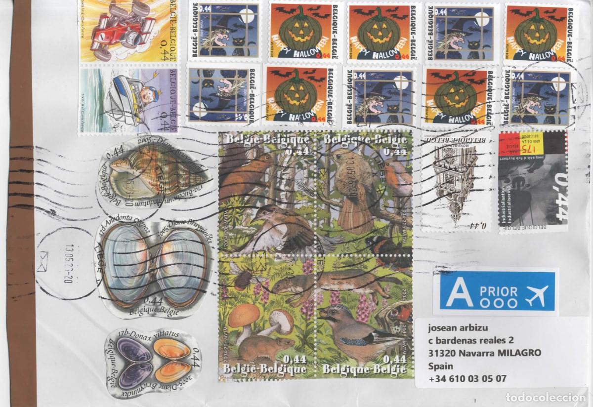 Sellos: BELGICA CC SELLO FAUNA CONCHA SHELL HALLOWEEN COMIC AVE BIRD