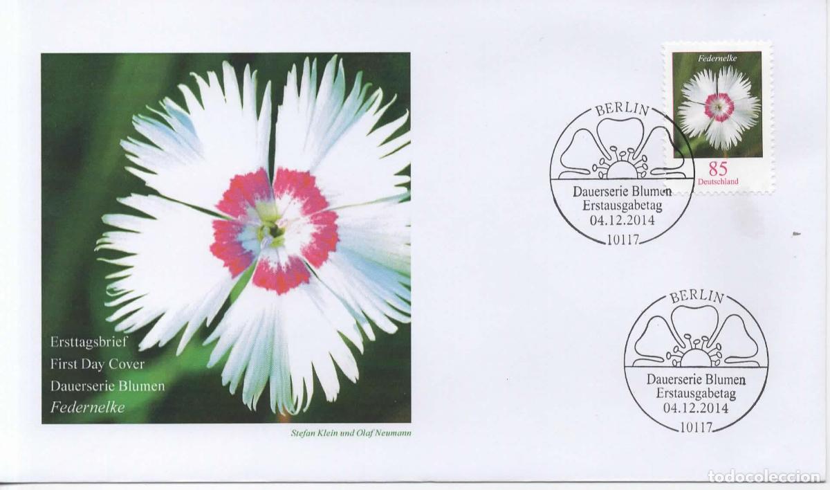 Sellos: ALEMANIA FDC BERLIN FLOR FLOWER FEDERNELKE CLAVEL