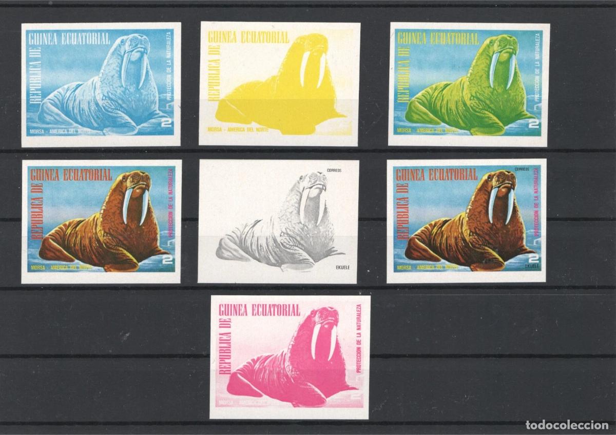 Sellos: GUINEA ECUATORIAL PRUEBAS DE COLOR MORSA PROTECCION NATURALEZA WALRUS