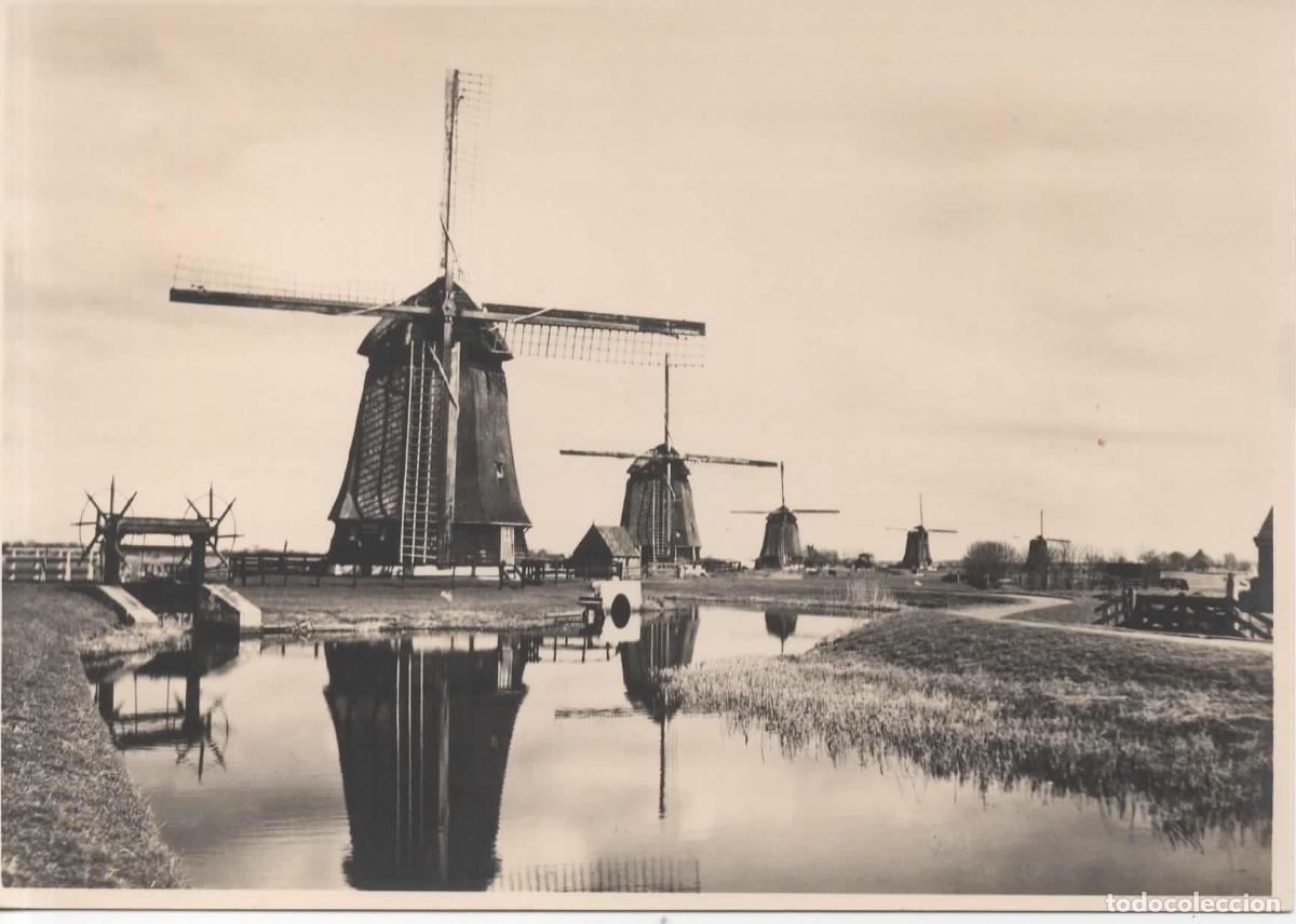 Sellos: HOLANDA ENTERO POSTAL MOLINO DE VIENTO WINDMILL