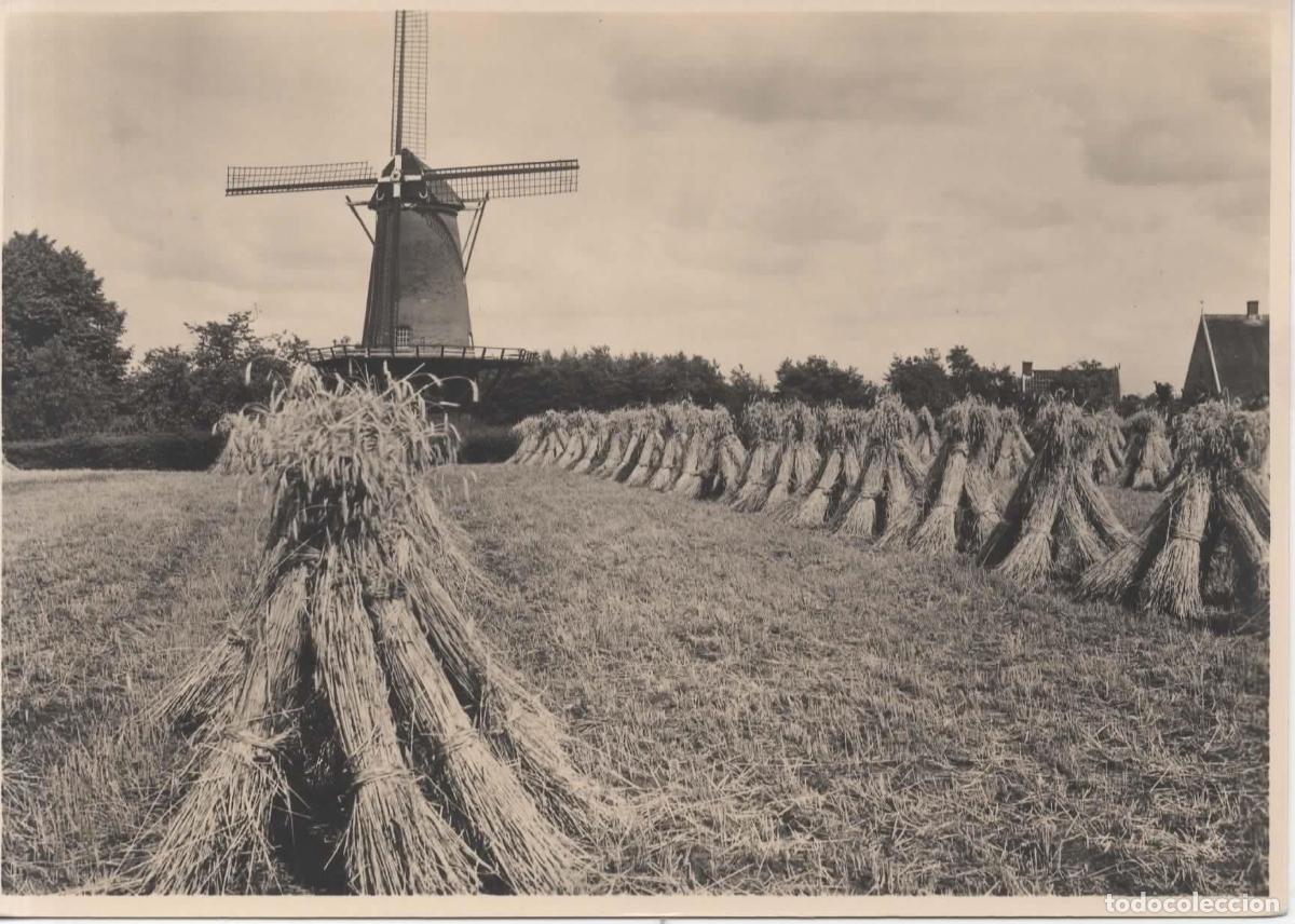 Sellos: HOLANDA ENTERO POSTAL MOLINO DE VIENTO WINDMILL