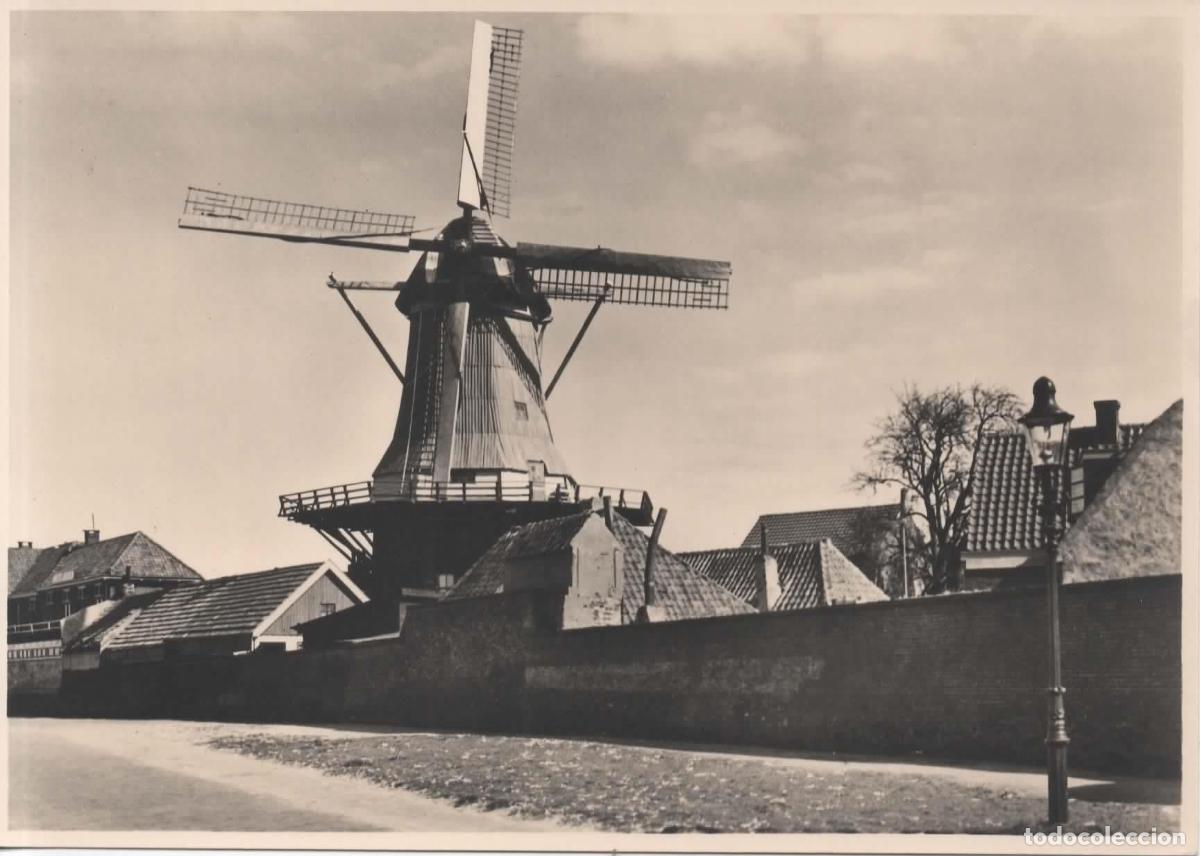 Sellos: HOLANDA ENTERO POSTAL MOLINO DE VIENTO WINDMILL