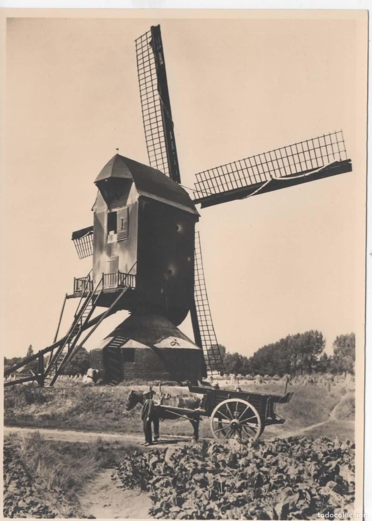 Sellos: HOLANDA ENTERO POSTAL MOLINO DE VIENTO WINDMILL