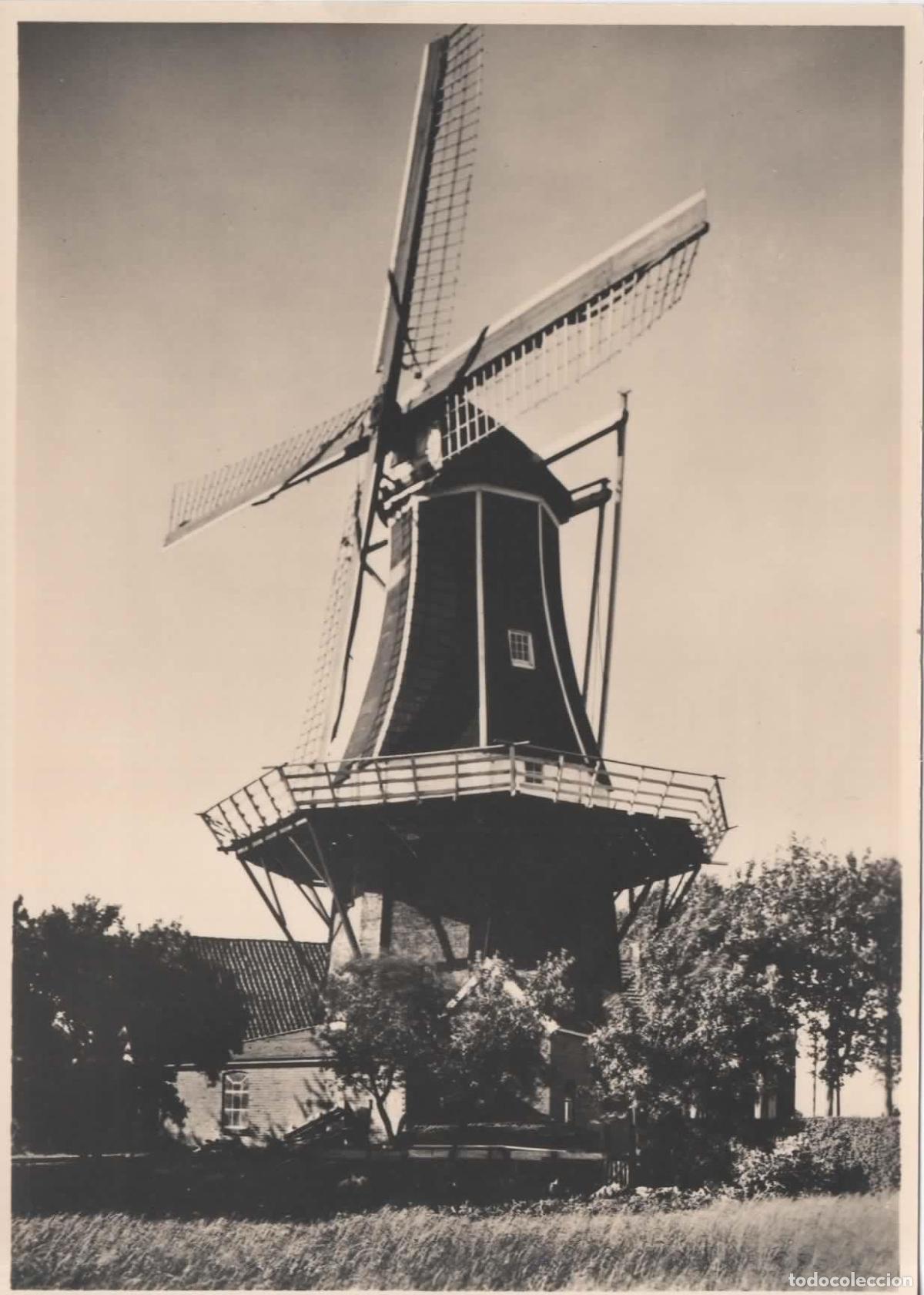 Sellos: HOLANDA ENTERO POSTAL MOLINO DE VIENTO WINDMILL