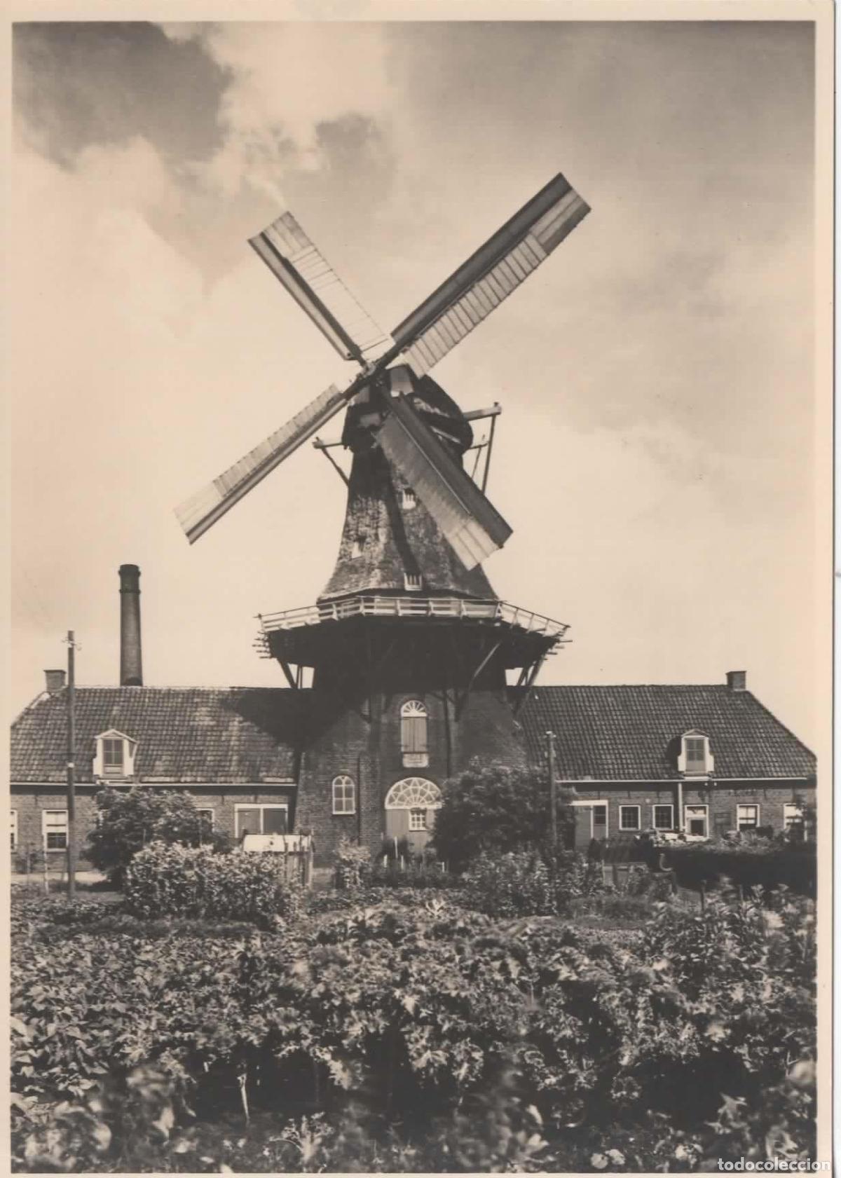 Sellos: HOLANDA ENTERO POSTAL MOLINO DE VIENTO WINDMILL