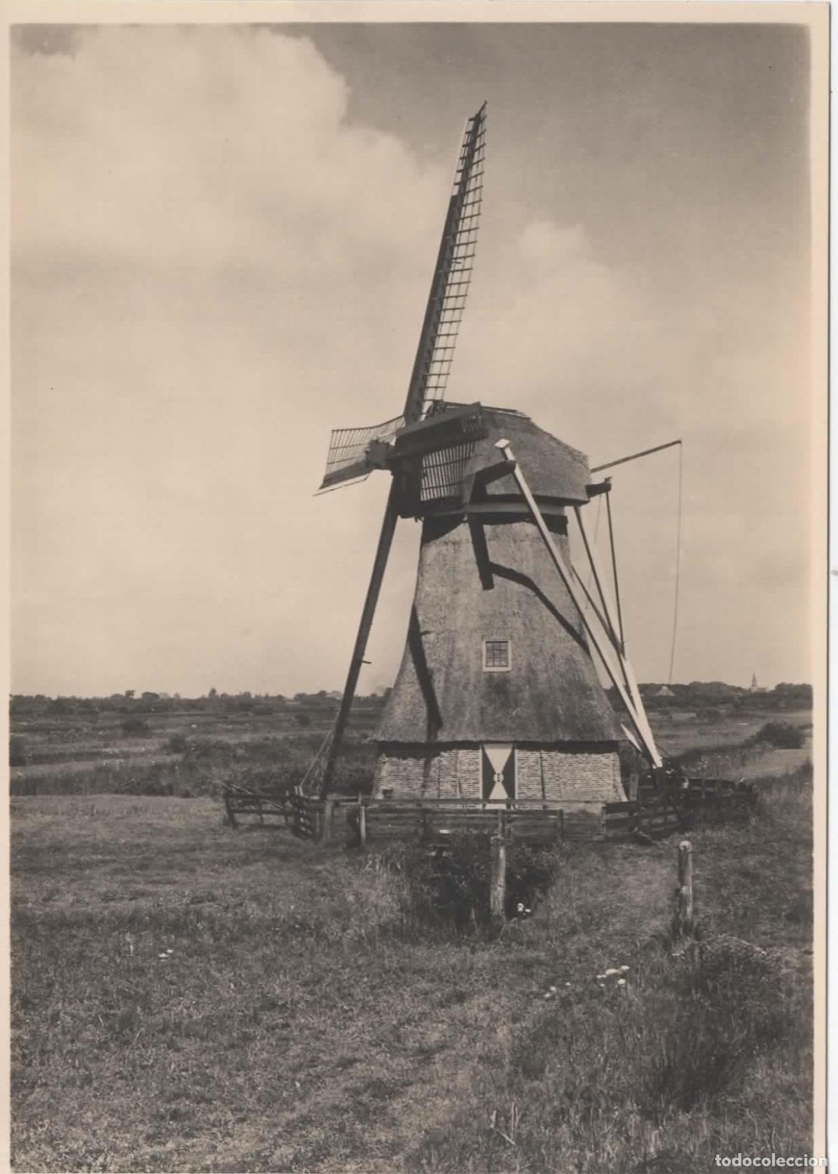 Sellos: HOLANDA ENTERO POSTAL MOLINO DE VIENTO WINDMILL