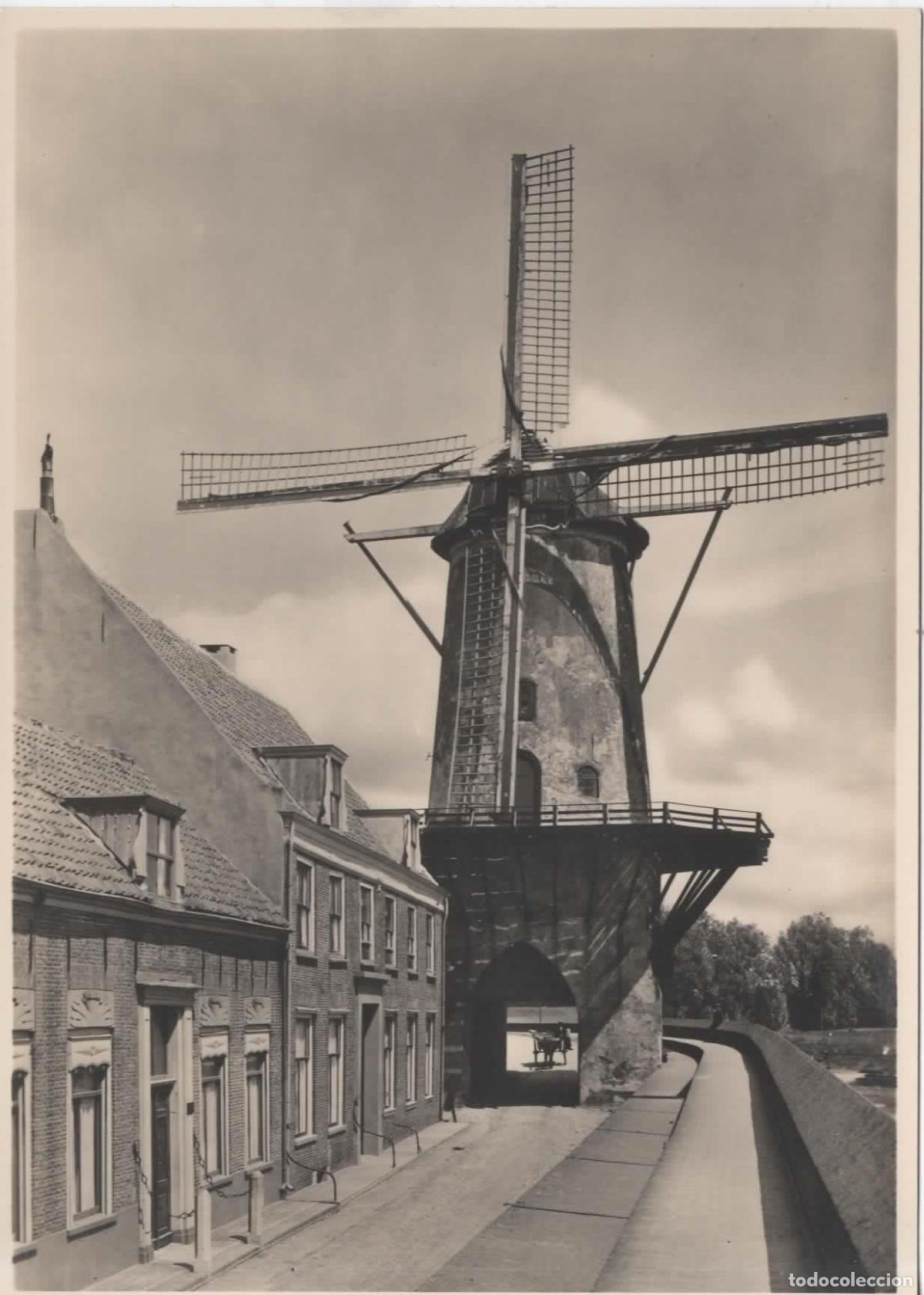 Sellos: HOLANDA ENTERO POSTAL MOLINO DE VIENTO WINDMILL