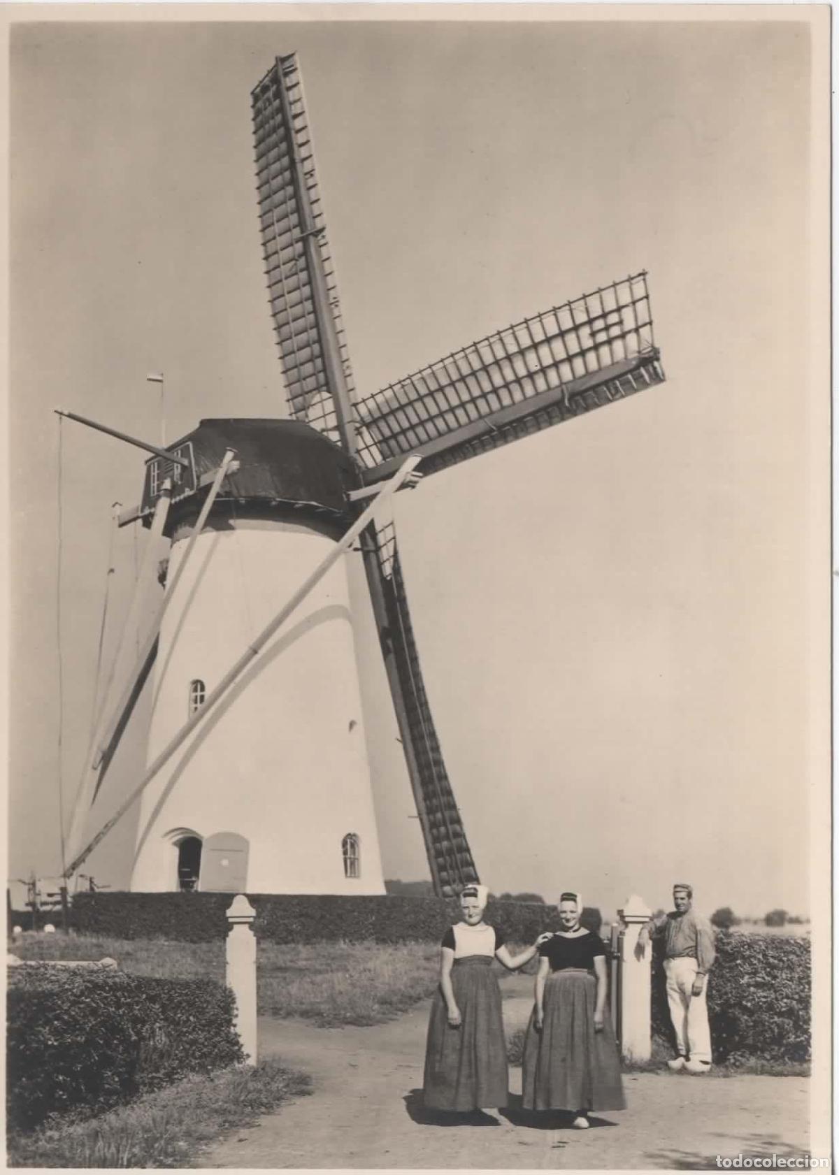 Sellos: HOLANDA ENTERO POSTAL MOLINO DE VIENTO WINDMILL