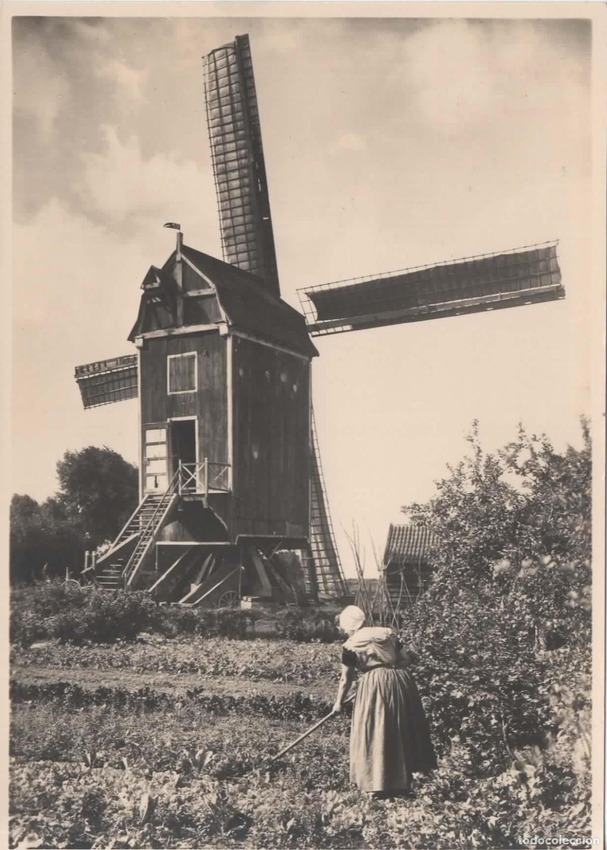 Sellos: HOLANDA ENTERO POSTAL MOLINO DE VIENTO WINDMILL