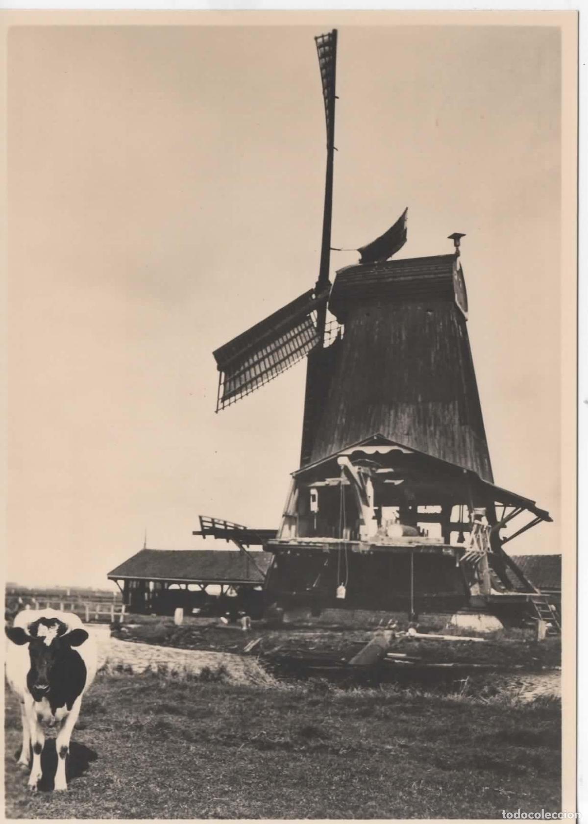 Sellos: HOLANDA ENTERO POSTAL MOLINO DE VIENTO WINDMILL