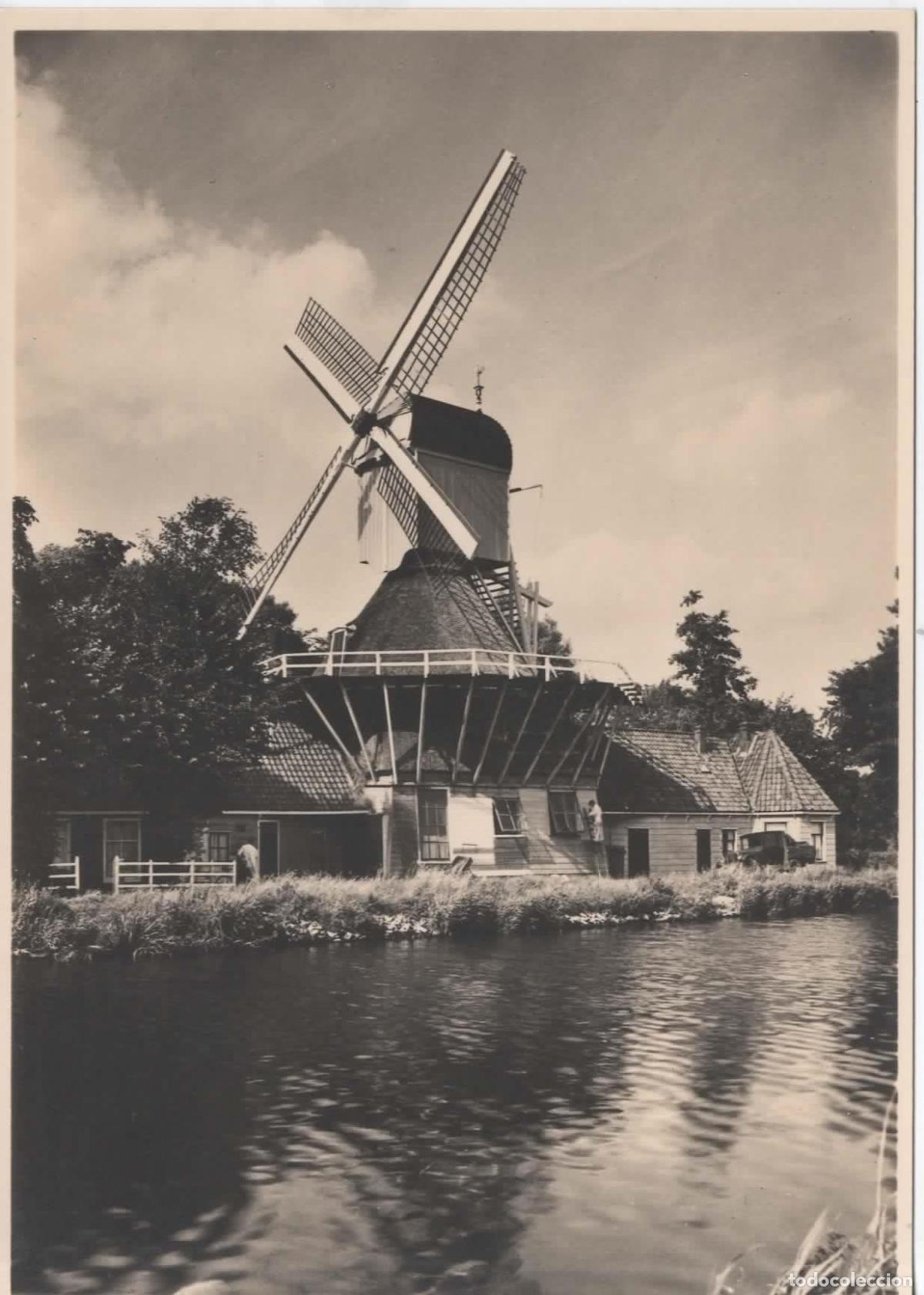 Sellos: HOLANDA ENTERO POSTAL MOLINO DE VIENTO WINDMILL