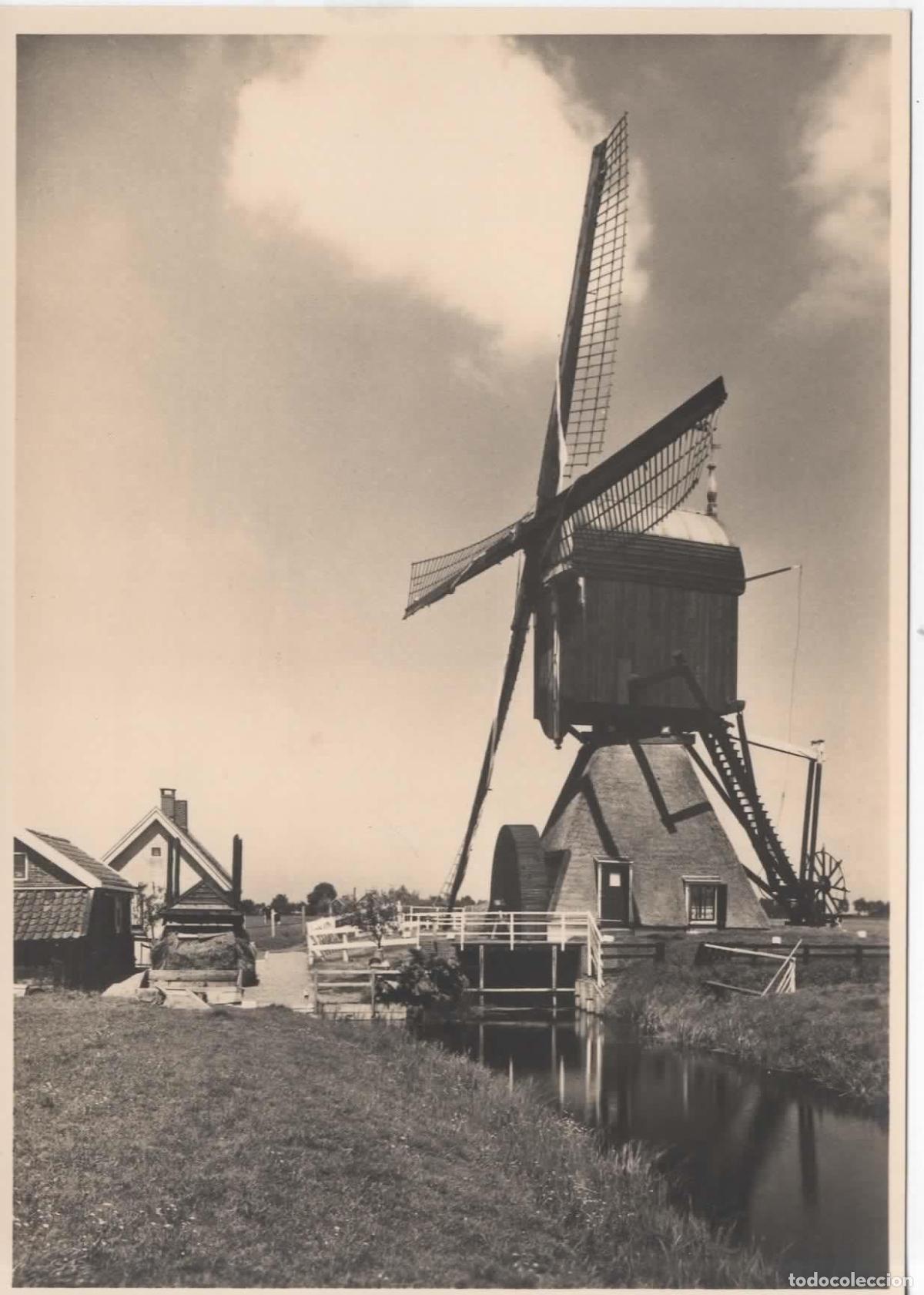Sellos: HOLANDA ENTERO POSTAL MOLINO DE VIENTO WINDMILL